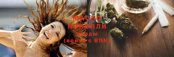 spice Богородицк