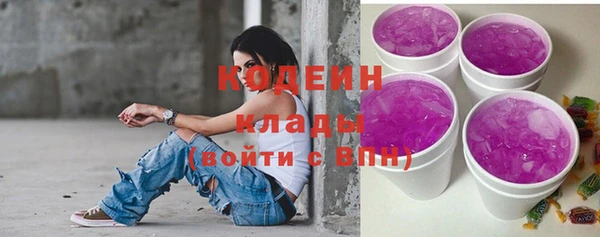 spice Богородицк
