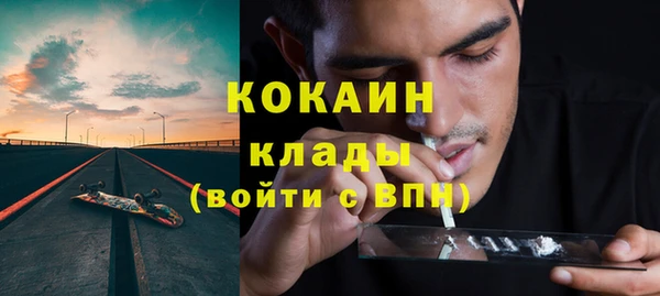 метадон Богданович