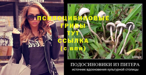 метадон Богданович