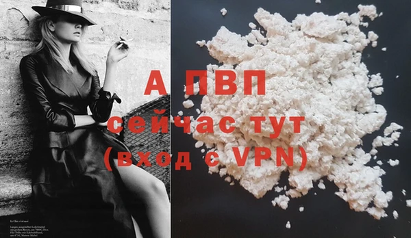 метадон Богданович