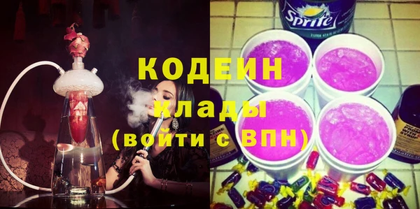метадон Богданович