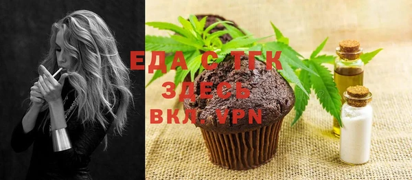 spice Богородицк