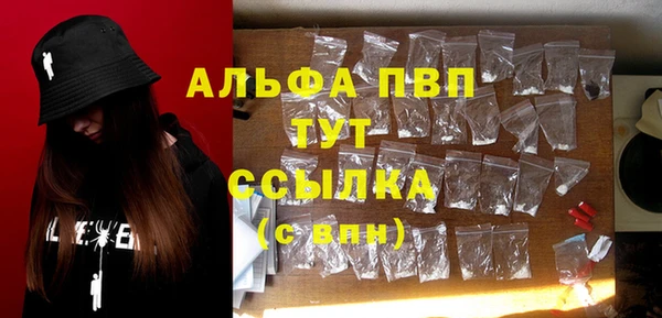 гашик Богородск