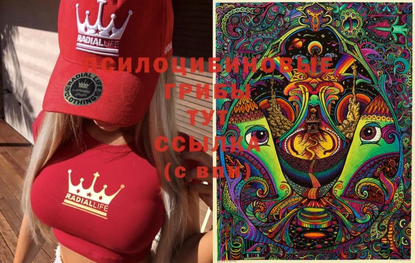 spice Богородицк