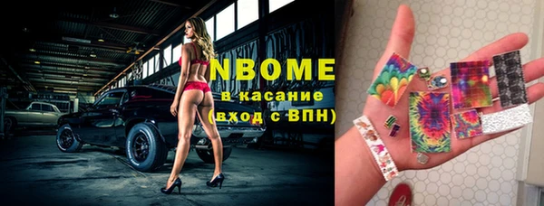 метадон Богданович