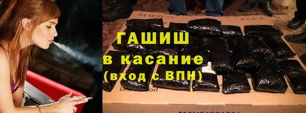spice Богородицк